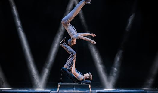 Das Zirkusfest 2026 - ALL IN Show
