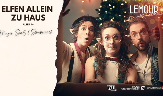 ELFEN ALLEIN ZU HAUS - für die ganze Familie